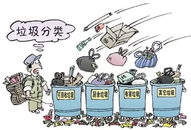 【城记】餐厨垃圾收运系统将建立完善