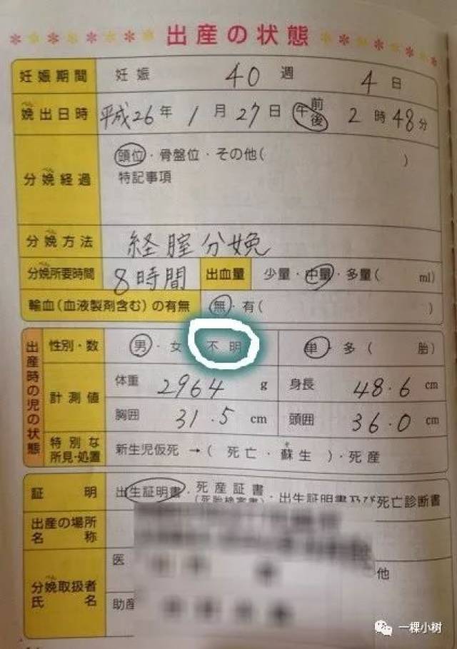 翻《母子手册》时,偶然发现日本的出生证明上婴儿的性别栏有"男","女"