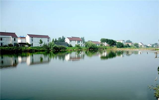 地处东陈镇南部,由原来的顾坊,杨枝,南东陈三个自然村合并而成,沿海