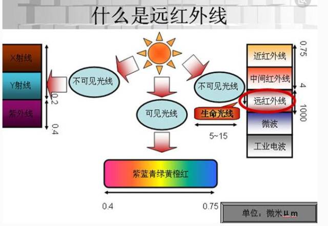 远红外线能够迅速被人体吸收,深入人体之后便会引起人体细胞的原子和