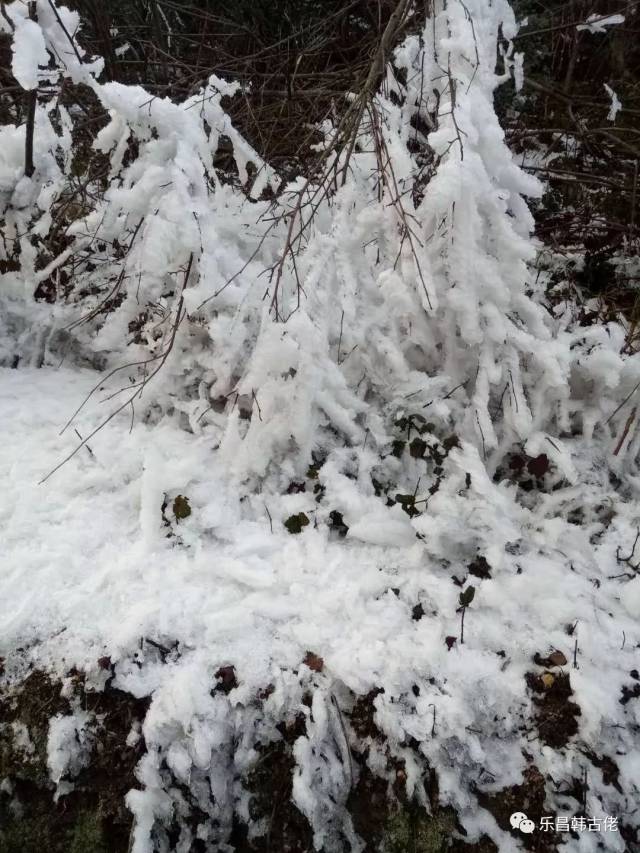 一组家乡庆云镇狮子山的雪景照片