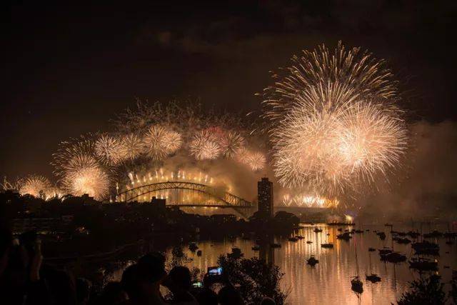 火树银花不夜天烟花共舞迎新年