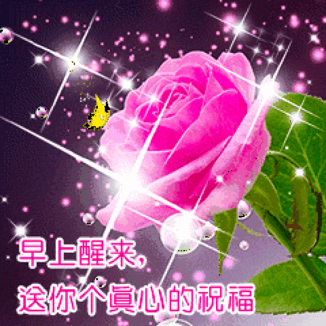 早上好,一曲《最牵挂的你》太美了,送给牵挂我的人!