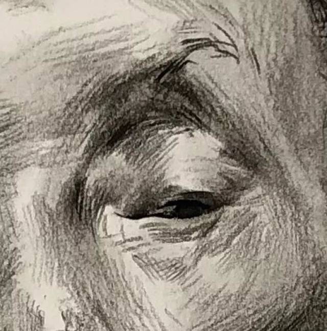 教你处理正面男老年素描头像中的体积结构,不可错过哦