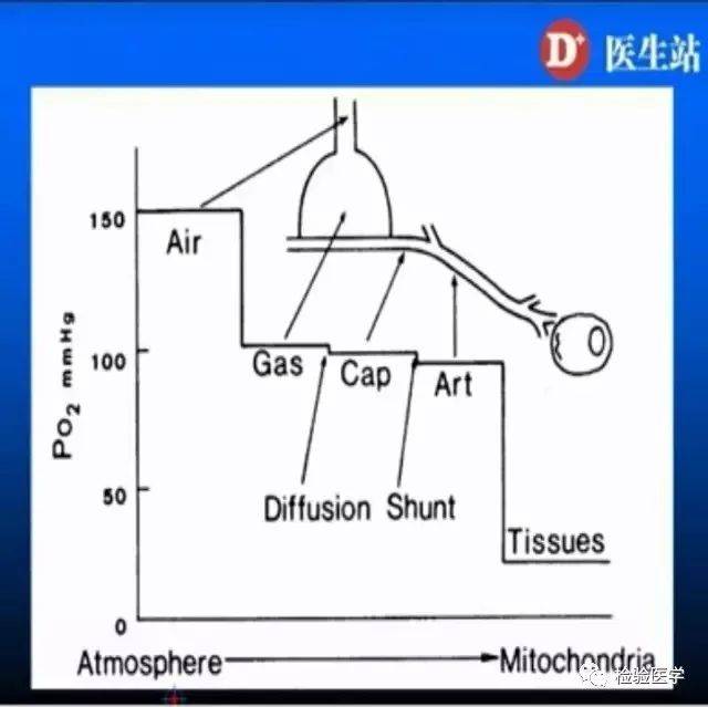 这种只有乳酸过高而无酸 氧分压和二氧化碳分压到底是什么概念,总压