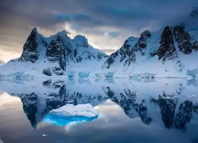 沿海地带是企鹅,海鸟和海豹的栖息场所和繁殖地,被称为南极洲的绿洲