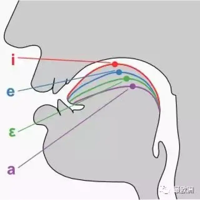 为什么说意大利语是最适合唱歌的语言?看了J