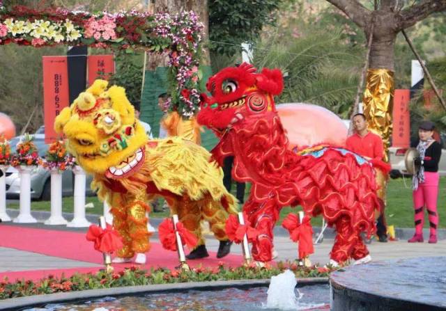 上海乐园  春节期间, 幸运的你说不定一进门 就能受到舞狮队的