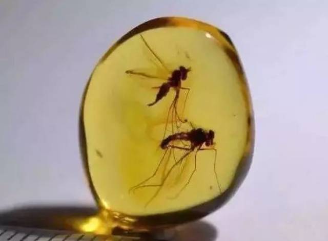 ȻСصĶΪɶôࣿ