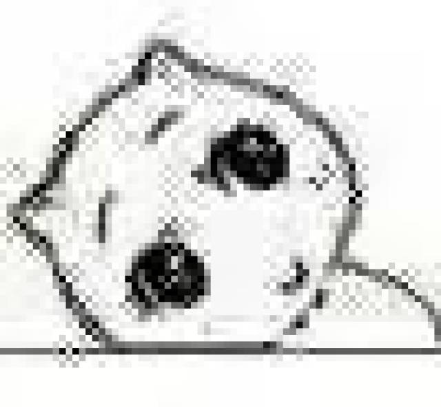 307013a8d99949e8a9913b3e608dee07.jpeg