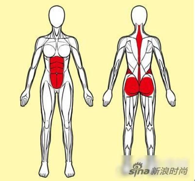若此时你腰部收紧变窄或臀部紧绷(可以用手触摸肌肉是否变紧,变硬)