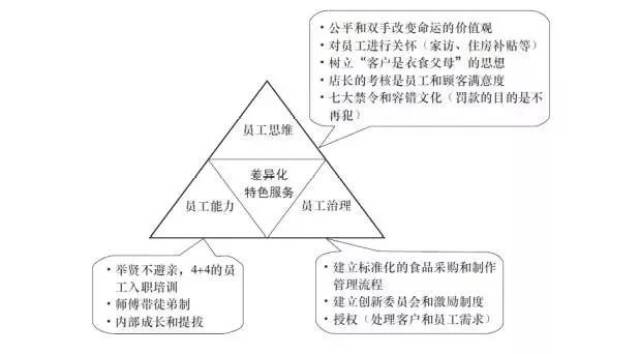 组织能力的杨三角