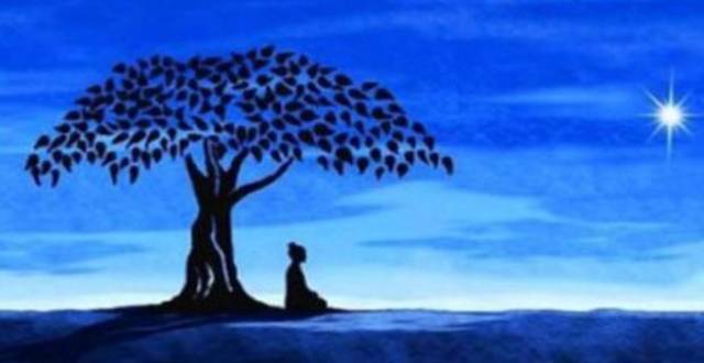 今天,哲学诗画就带你一起进入——佛陀在菩提树下的悟道.