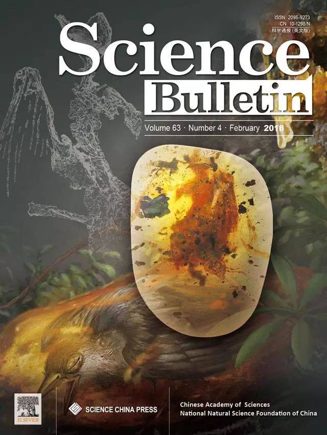 ȻСصĶΪɶôࣿ