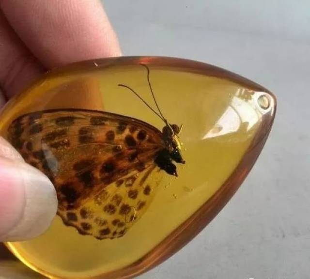 ȻСصĶΪɶôࣿ