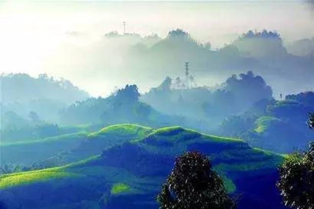 蒙沫"的蒙顶山,可以眺望远处峨眉,瓦屋山峦起伏,这座世界茶文化名山