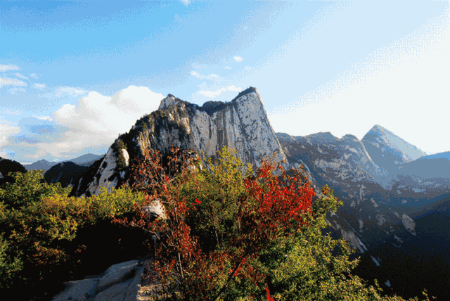 诗意华山丨转角遇到你,华山遇见诗