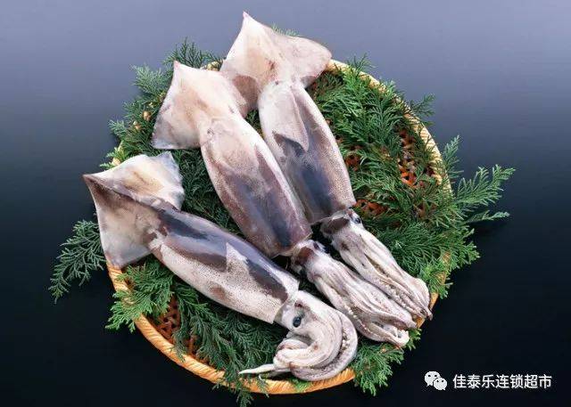 38鱿鱼
