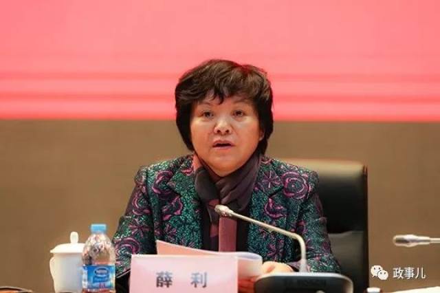 在薛利之前,同为女性的桑竹梅,也曾担任中央巡视组组长.