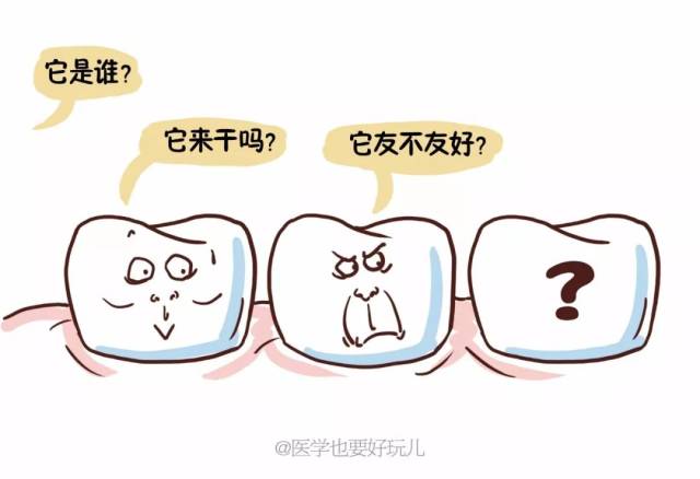 【科普漫画】今天跟大家聊聊智齿