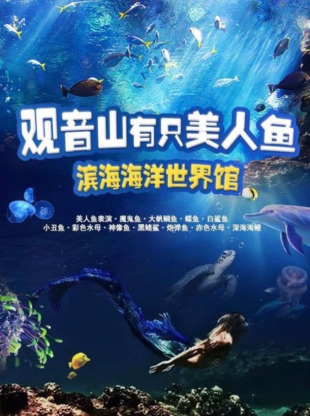 趁着寒假赶紧带娃去嗨吧~ ▍内容来源:滨海海洋世界馆