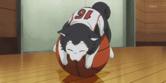 479_240gif 动态图 动图