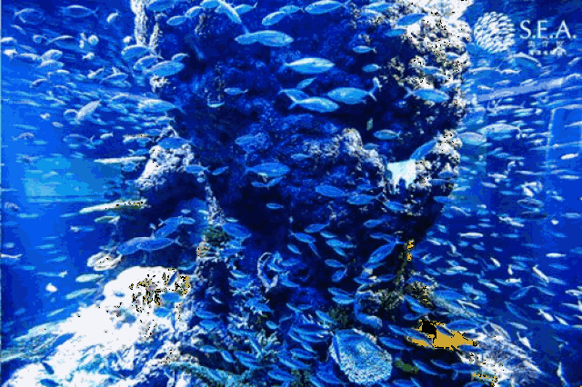 春节一起来遛娃