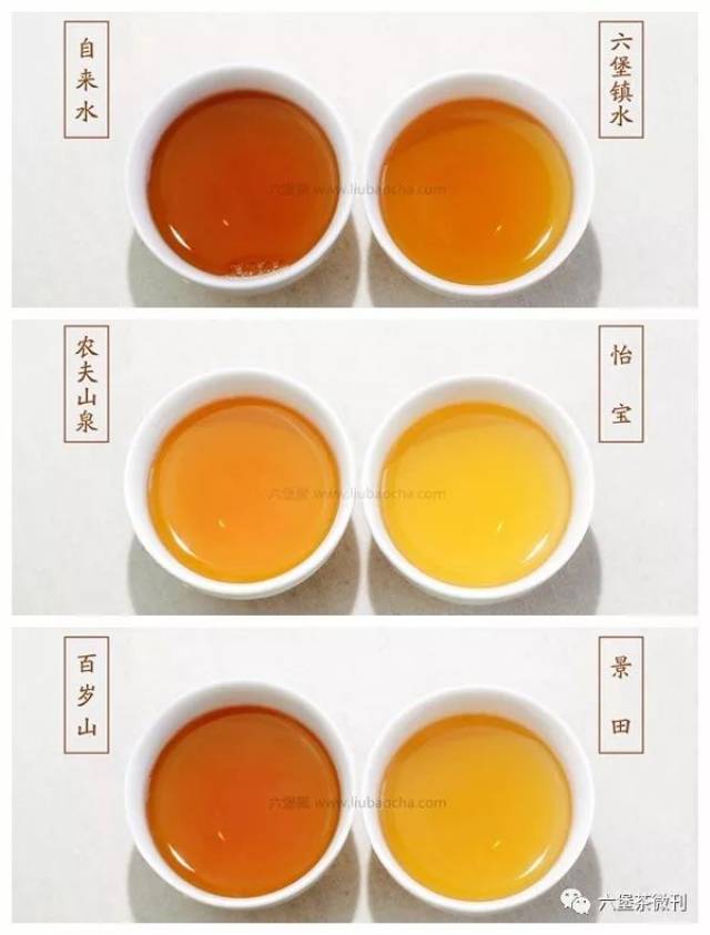 【干货】冲泡六堡茶用水篇:原来水质对茶汤的影响那么