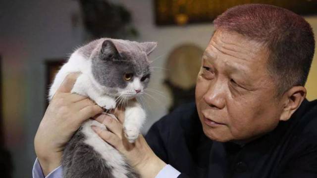 马未都的猫