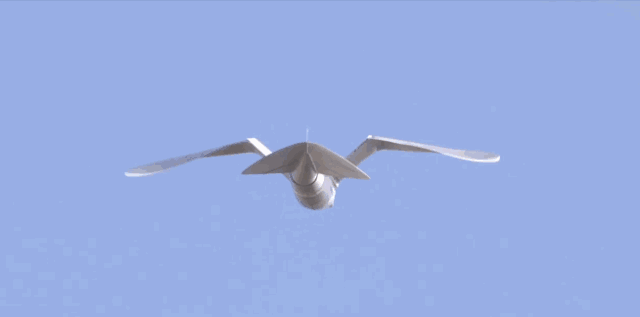 smartbird展翅足足有两米 翅膀不仅可以来回拍打,还能扭转
