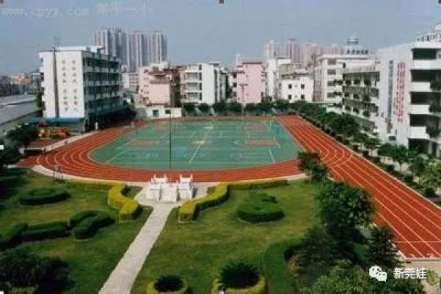 运城小学排名_运城向阳小学图片(2)