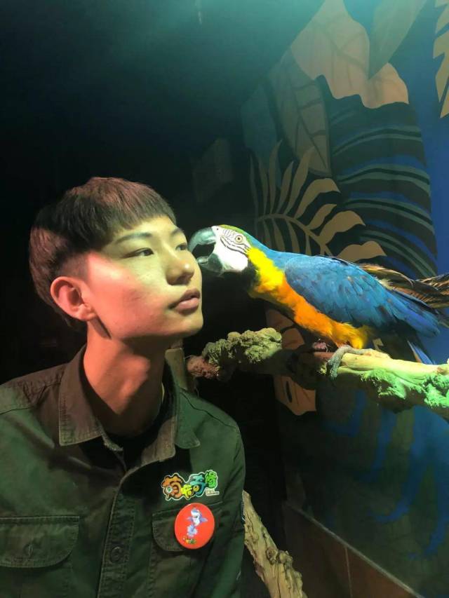 发生在石家庄萌宠奇缘里的忠贞不渝长