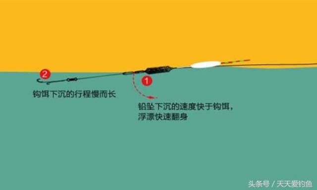 钓黑坑两大必杀技,飞铅钓配散炮,黑坑钓鱼全无敌