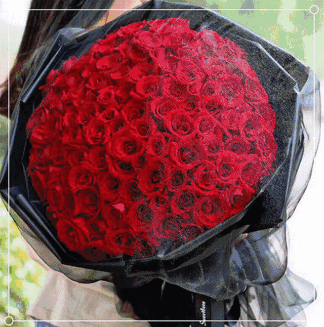 5折,特推款 600元起 /红玫瑰,送心上人 / /黄白玫瑰,送可爱的她