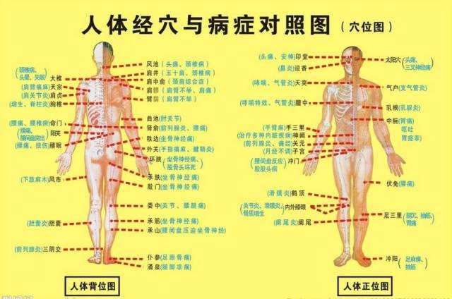 经络,五行图,我们一起学养生!