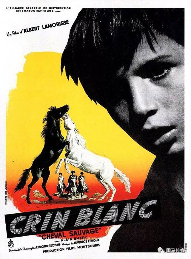 白鬃野马 crin blanc: le cheval sauvage (1953)