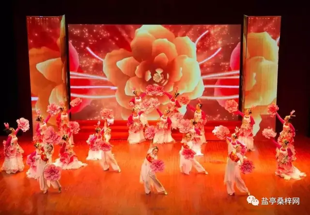 走进新时代 共筑中国梦 | 盐亭县2018迎春文艺晚会璀璨绽放!