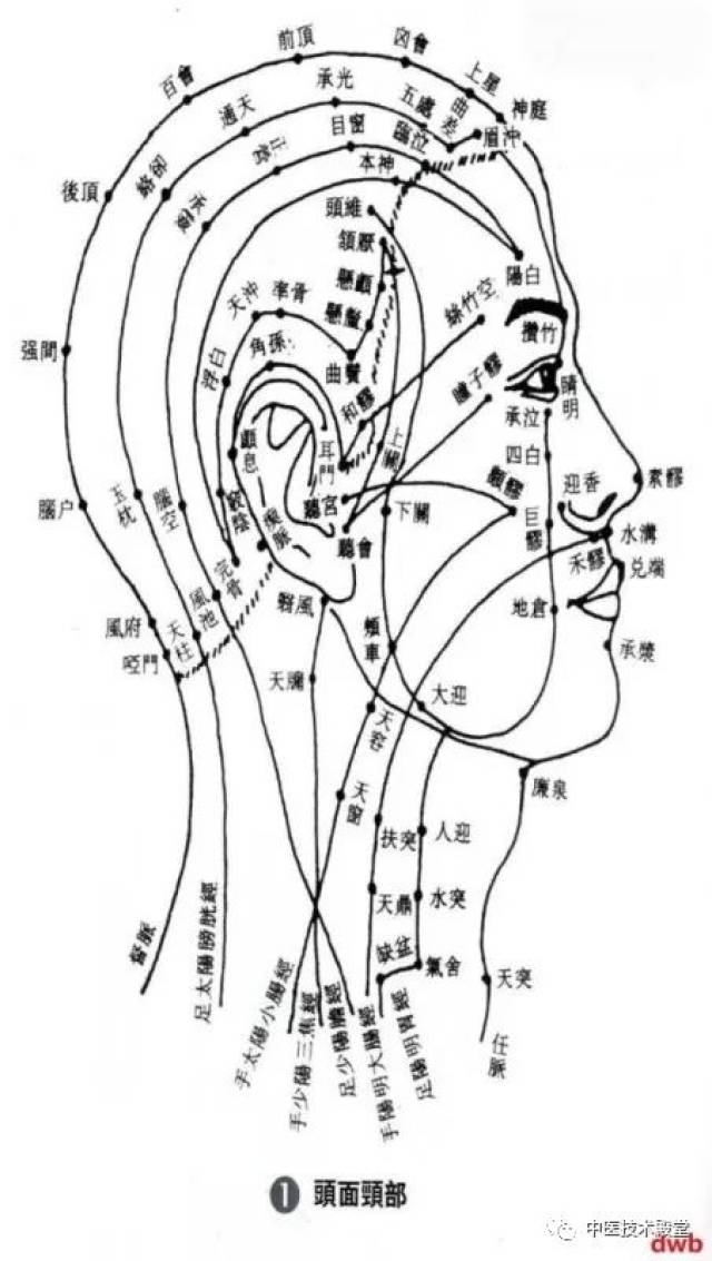 比较全面的点穴调理方法