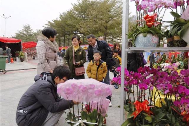 【干货】禅城花市开张首日,这些最新提醒非常重要!
