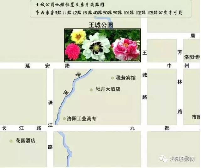 春节王城公园看花灯,过洛阳特色传统年