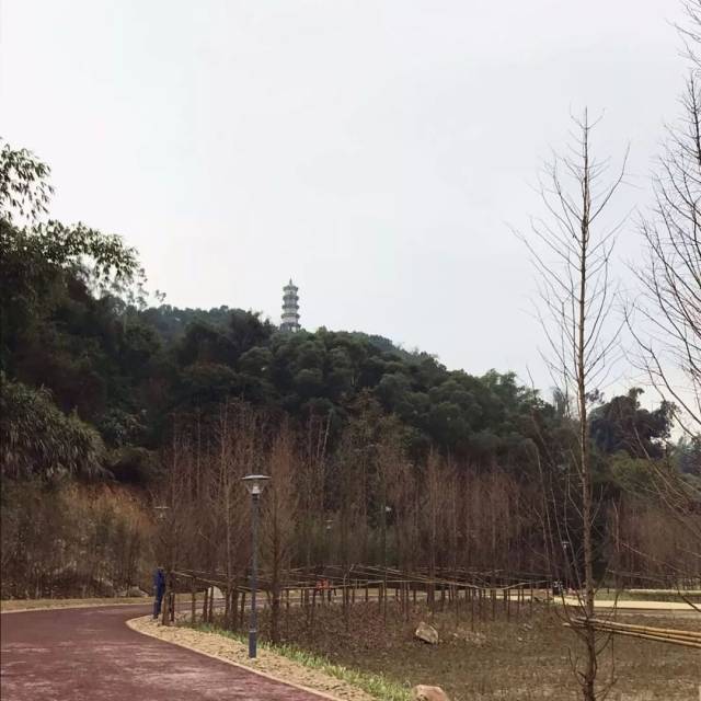 连江的这个公园有山有水更有名,在连江的你春节赶紧行动起来!