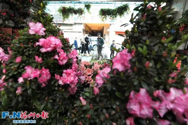 福州三大花市采购攻略请收好!