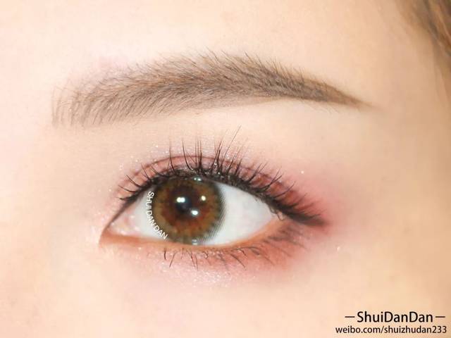 [视频及图解]毛绒绒又根根分明的画眉教程了解