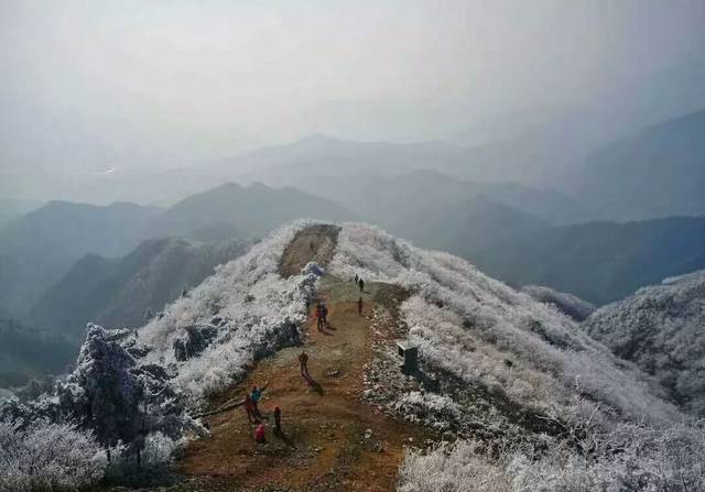 那么一定要去大坪药姑山 那里的雪还未融化 能满足你看雪的愿望