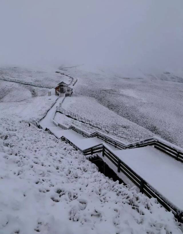 这个冬季的一场雪,让韭菜坪飘进诗和远方