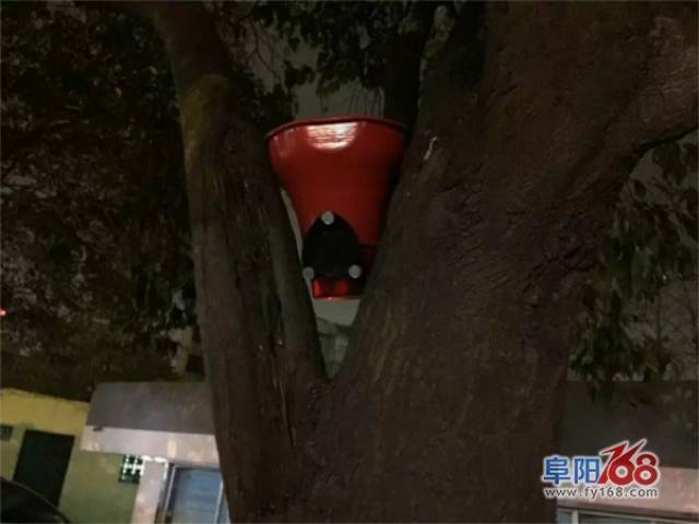 阜城一女儿视频教程出嫁,燃放烟花爆竹被罚50中国结业主小区编织图片