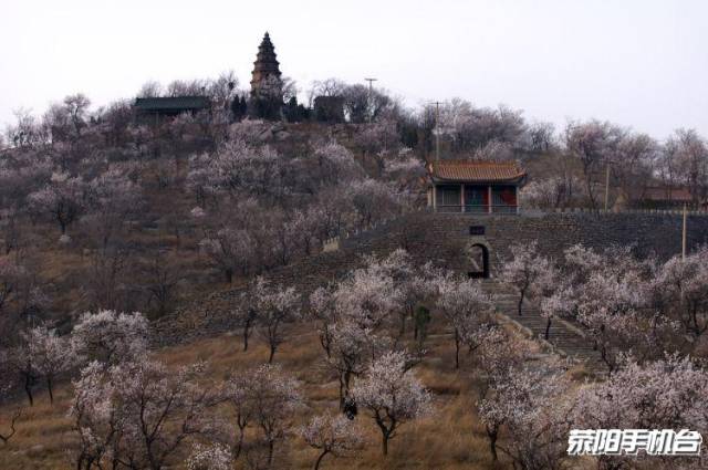 美丽荥阳我的家杨玉建摄影作品鉴赏