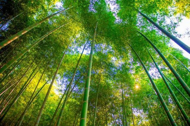 知乎上v情趣最多的春节情趣度假地:有山有"海"有酒店冷门小凳子的溶洞图片
