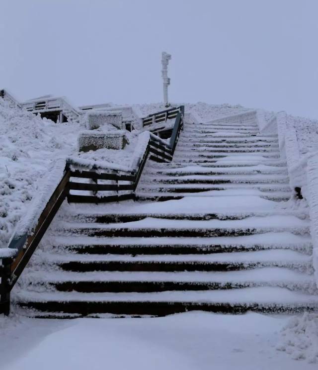 这个冬季的一场雪,让韭菜坪飘进诗和远方