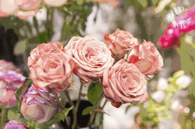 壁纸 花 花束 鲜花 桌面 640_426 gif 动态图 动图